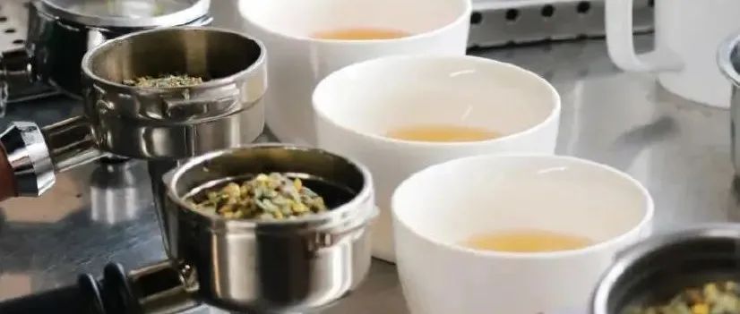 茶顏、喜茶、Tea’Stone都用了！這種泡茶方式又引起了行業(yè)注意