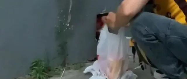 外賣奶茶收貨地址竟是狗洞！網(wǎng)友：難為外賣員找到了