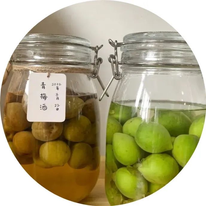 這季節(jié)獨(dú)有，一年僅釀一回的青梅酒，靜待盛夏的到來吧！