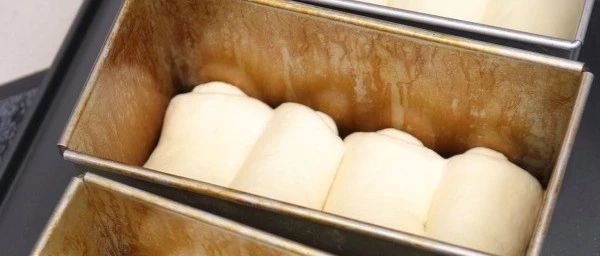 干貨筆記：掌握這些tips再帶走配方，做出好吃吐司超容易…