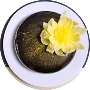 溫故知新 | 用巧克力做裝飾能美到什么程度，不看到這款蓮花慕斯真的不知道……