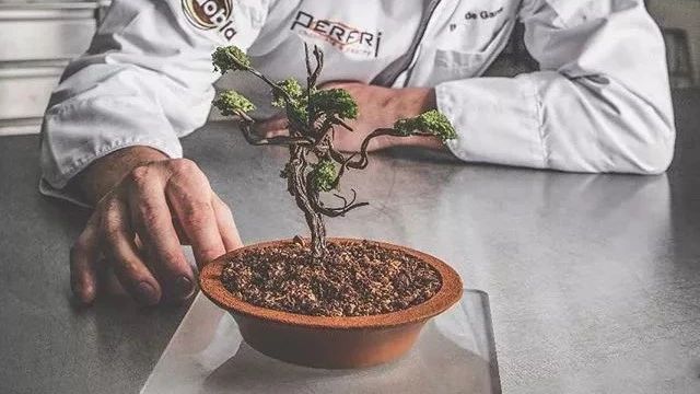 跪！服！裝飾界又雙叒叕現(xiàn)神作：他靠做“植物蛋糕”晉為《so good..》新寵...