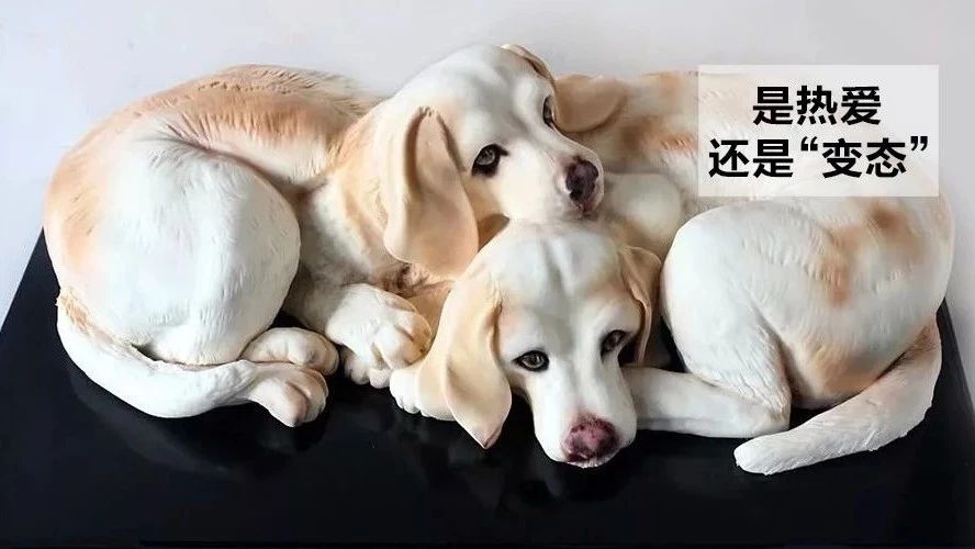 蛋糕做得太逼真，她被罵“變態(tài)”，一刀切下去，網(wǎng)友：你這是在虐待動(dòng)物！