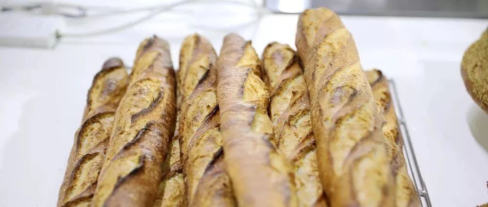 速報(bào)day： 位面包高手 個(gè)半小時(shí)對(duì)決，高清大圖+直播好看到爆