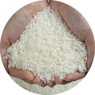 今年正宗五常新米上市！軟糯清香，更Q彈更營養(yǎng)，難怪慈禧只吃它！