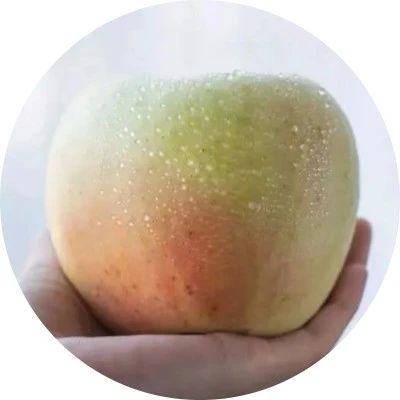 入冬就饞這口甜！脆爽水潤，吃一口想一年，回購率%！