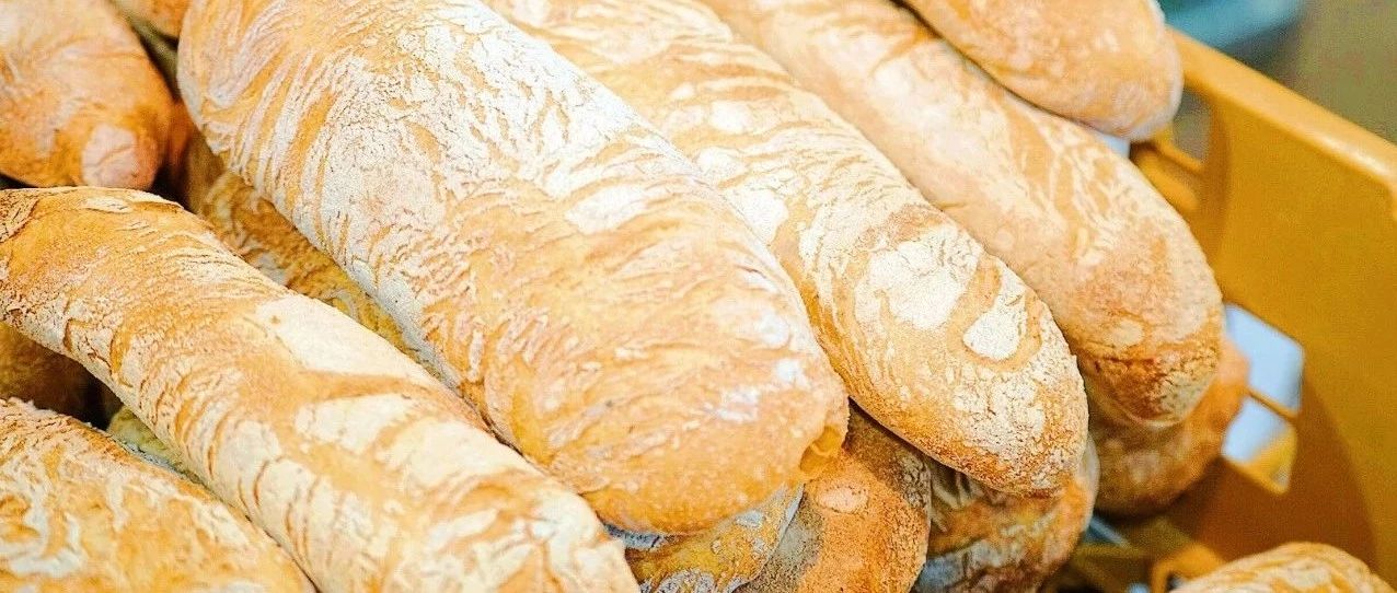 DAY：城市面包大賽！荷蘭隊(duì)“恰巴塔”怎么是全場(chǎng)最靚的仔？