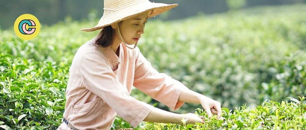 后小姐姐隱居靈隱種茶/做木工/開民宿...熱愛生活的人，都有一顆可愛的靈魂