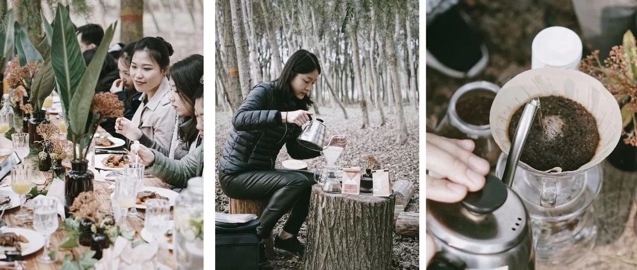 坐船去島上聚會，在森林里沖一杯野生咖啡，把日子過成現(xiàn)實版《小森林》